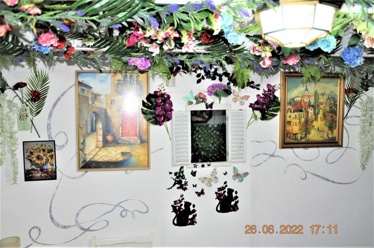 סופיה Social Guest House מראה חיצוני תמונה