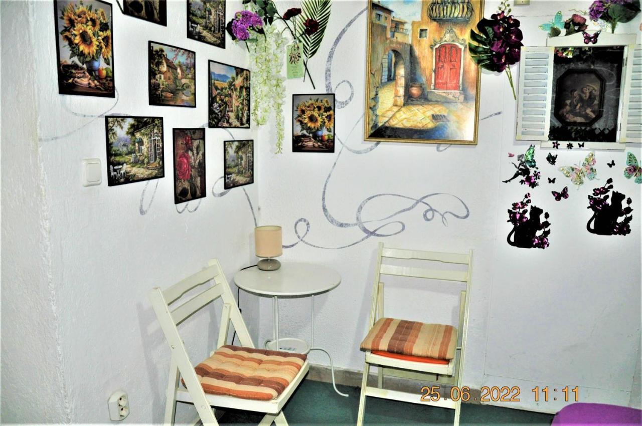 סופיה Social Guest House מראה חיצוני תמונה