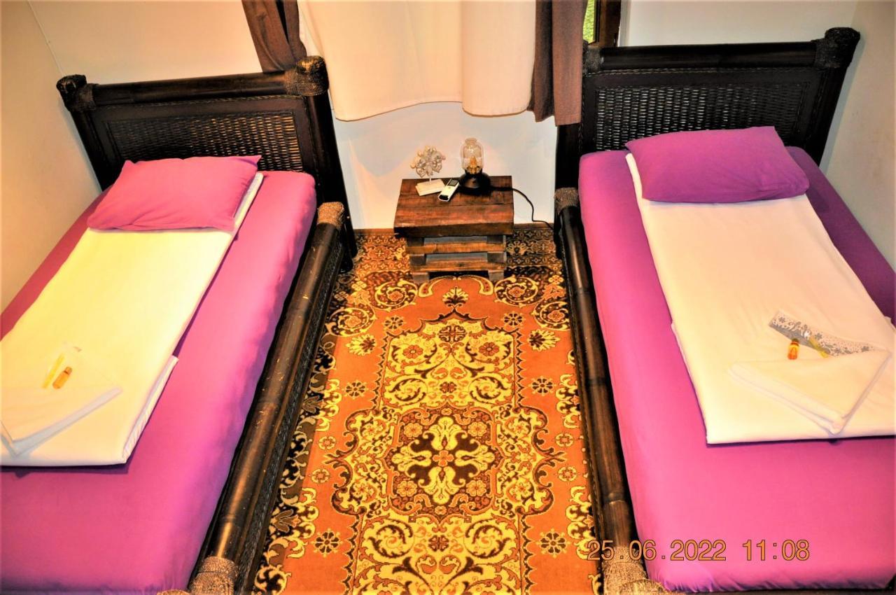 סופיה Social Guest House מראה חיצוני תמונה