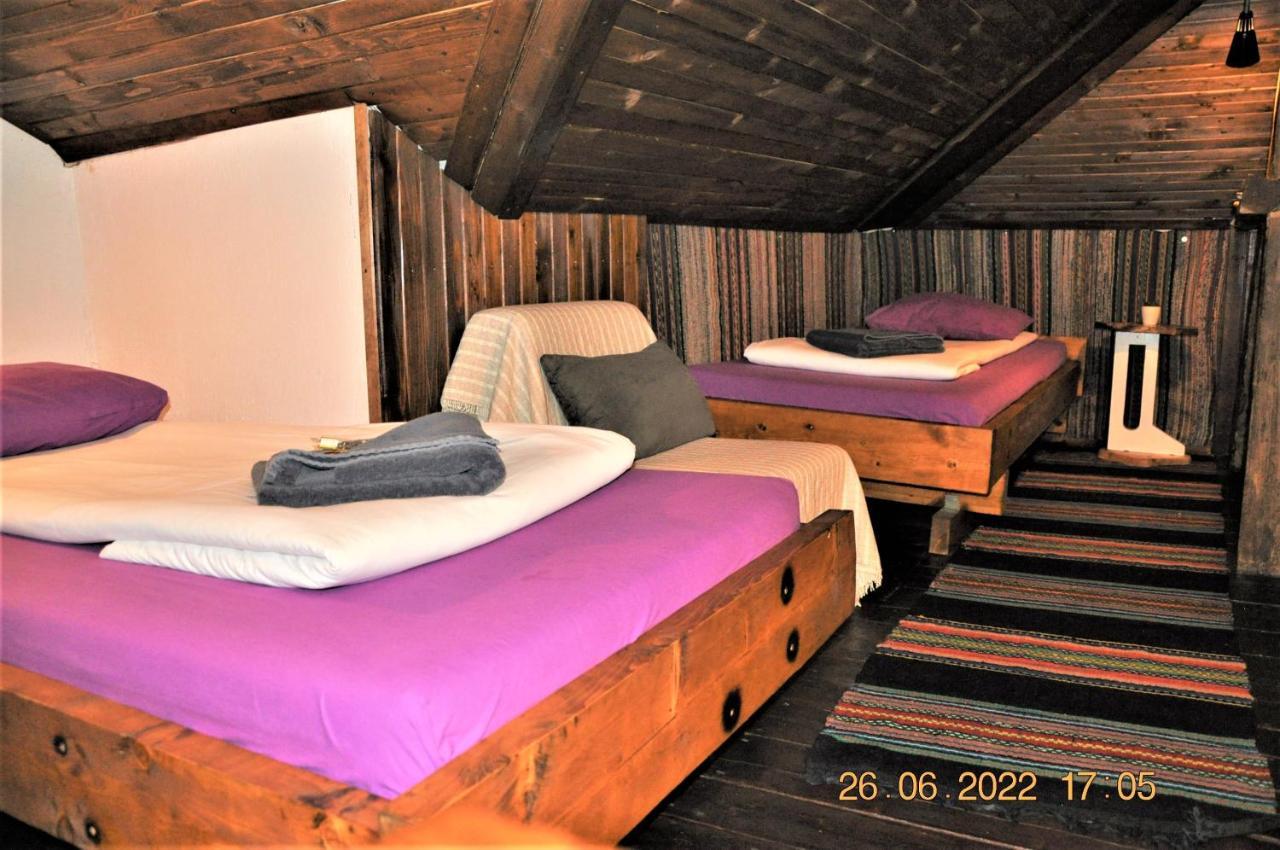 סופיה Social Guest House מראה חיצוני תמונה